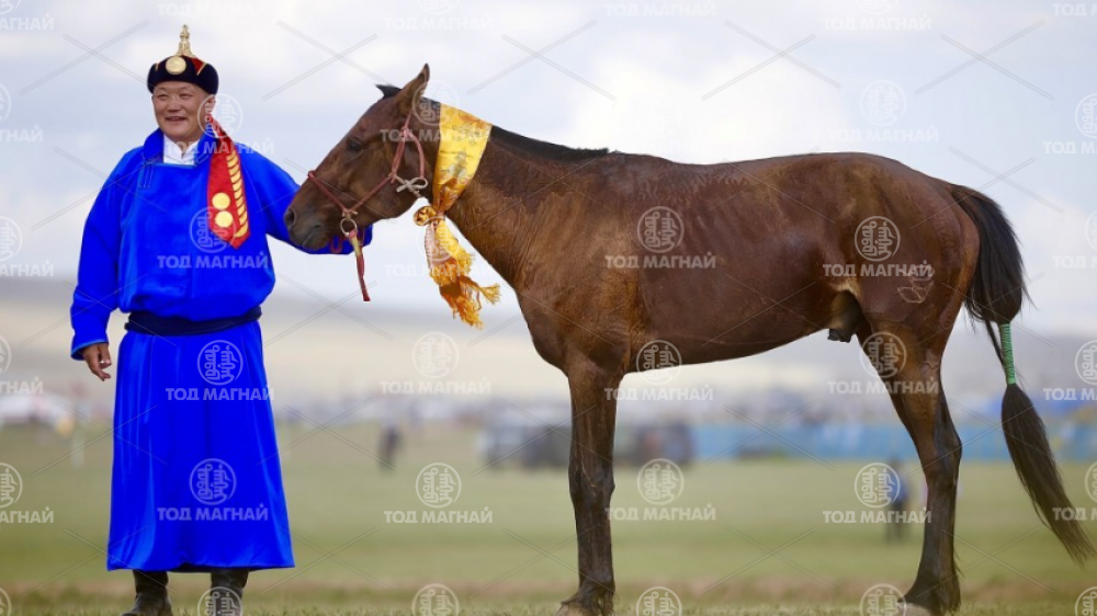  Хээр
